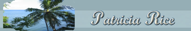 banner 2